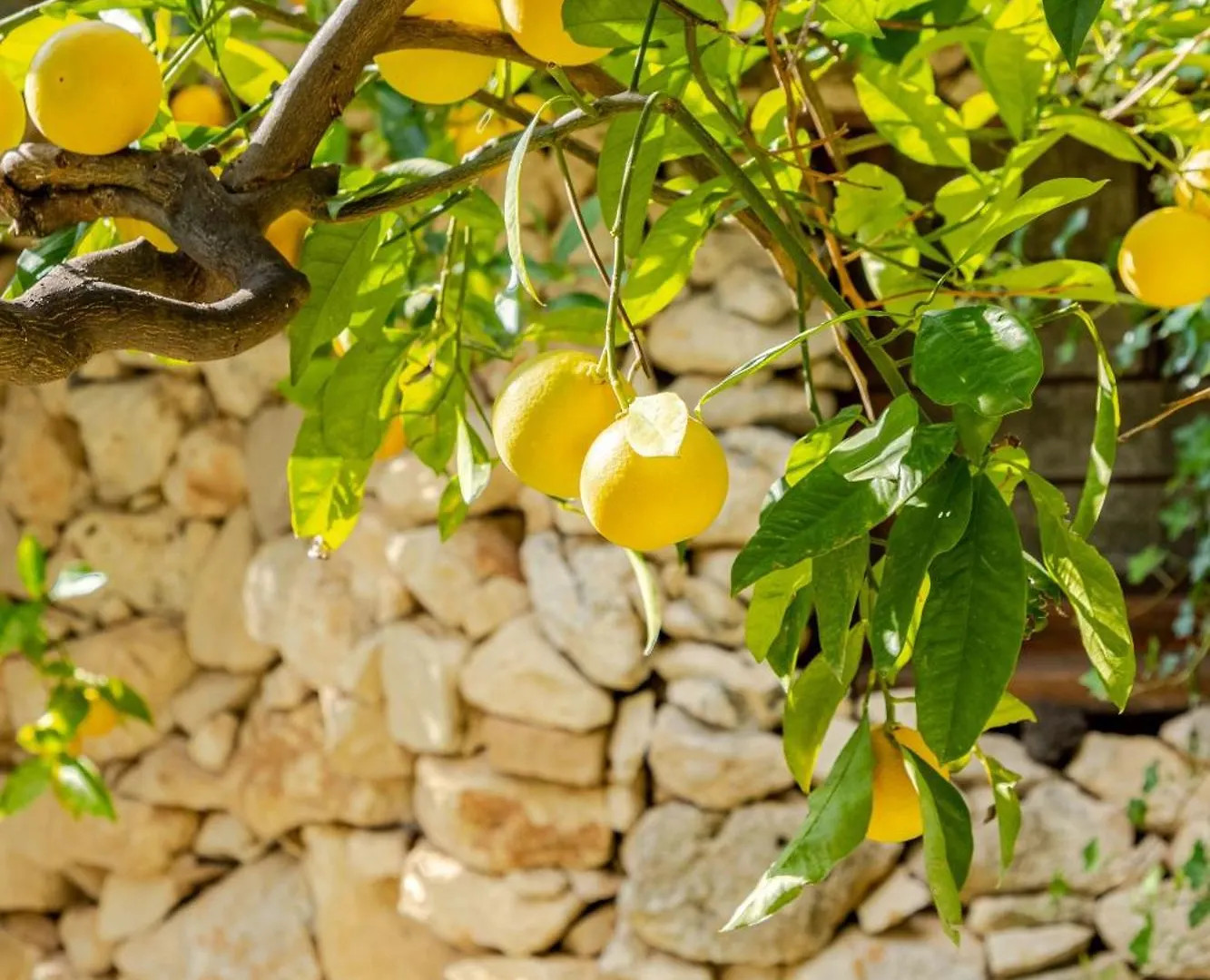 Country house Masseria Usamborgia Noto