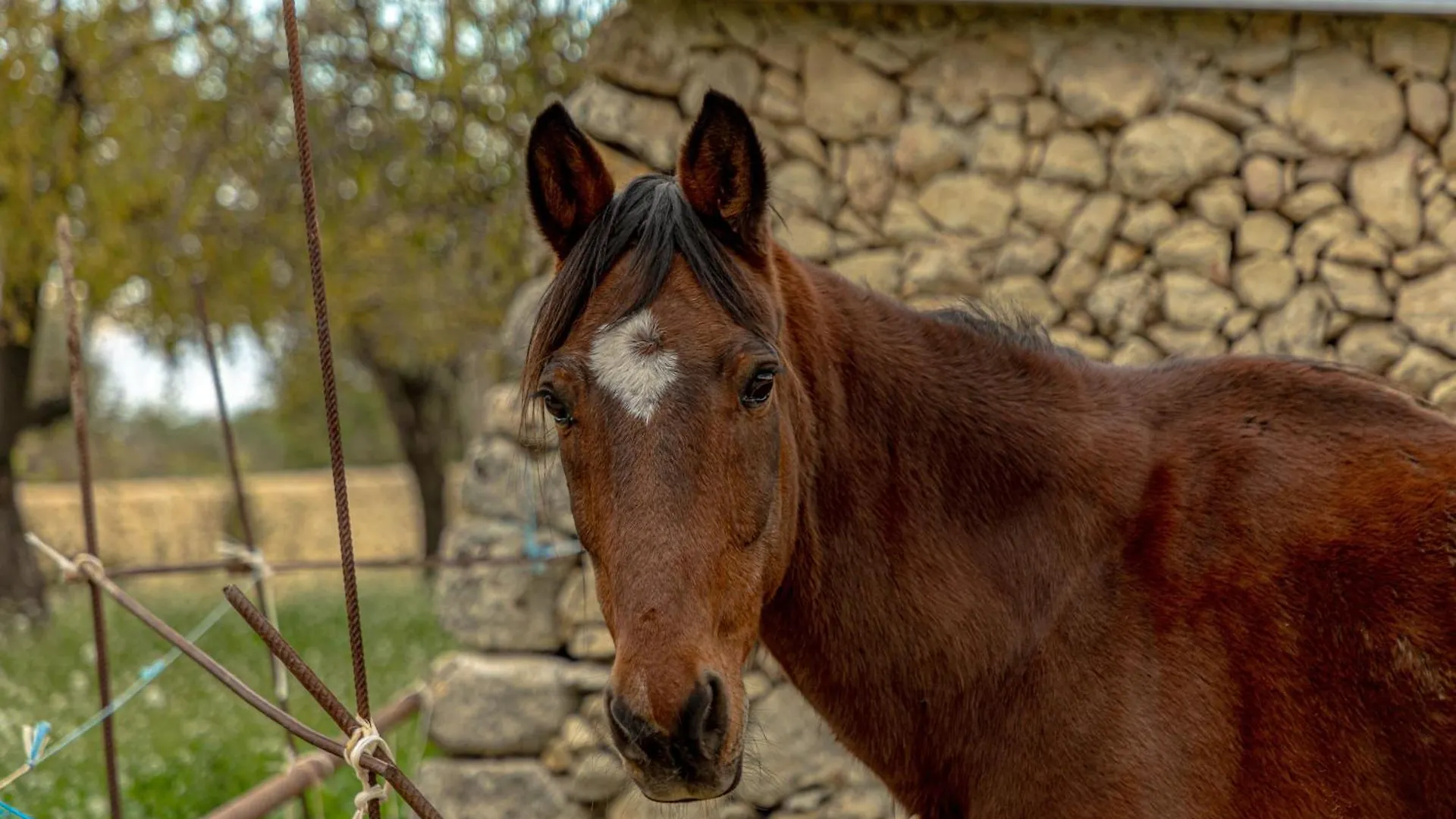 Masseria Usamborgia Noto Italien