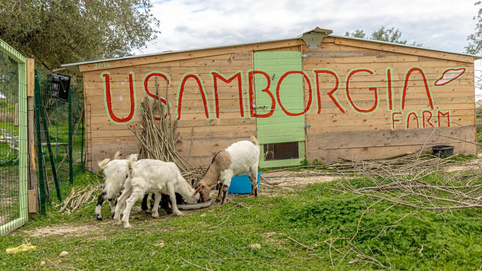 Masseria Usamborgia Noto Lantställe